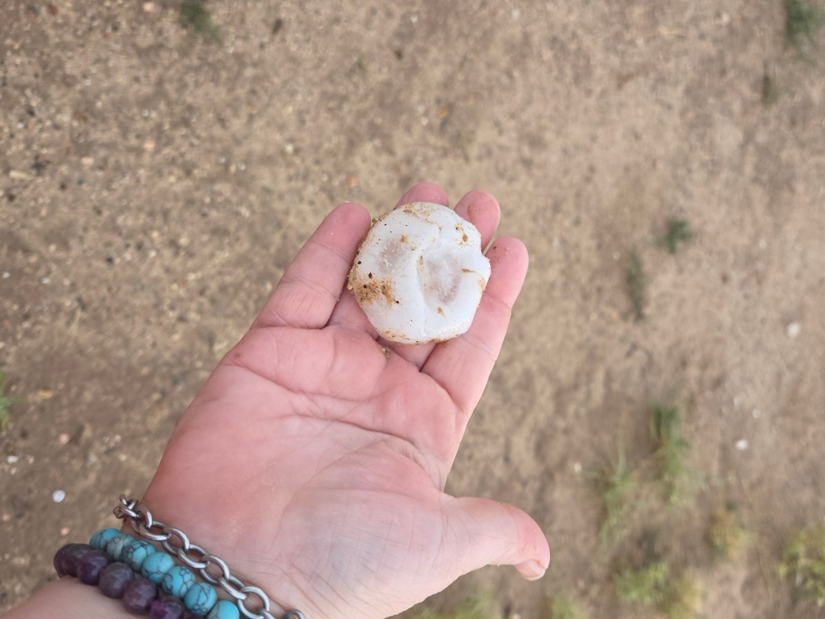 Baseball-Size Hail Storm Hits Central New Mexico: RV, Car & Solar Panel&nbsp;Damage